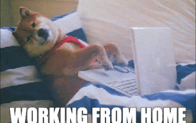 The American Worker… Happy to Work From Home