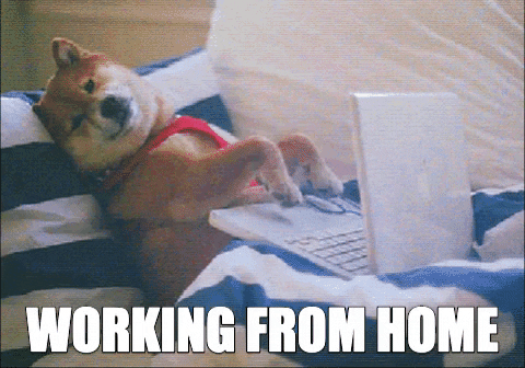 The American Worker… Happy to Work From Home